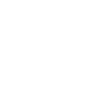Cummins Annual Report